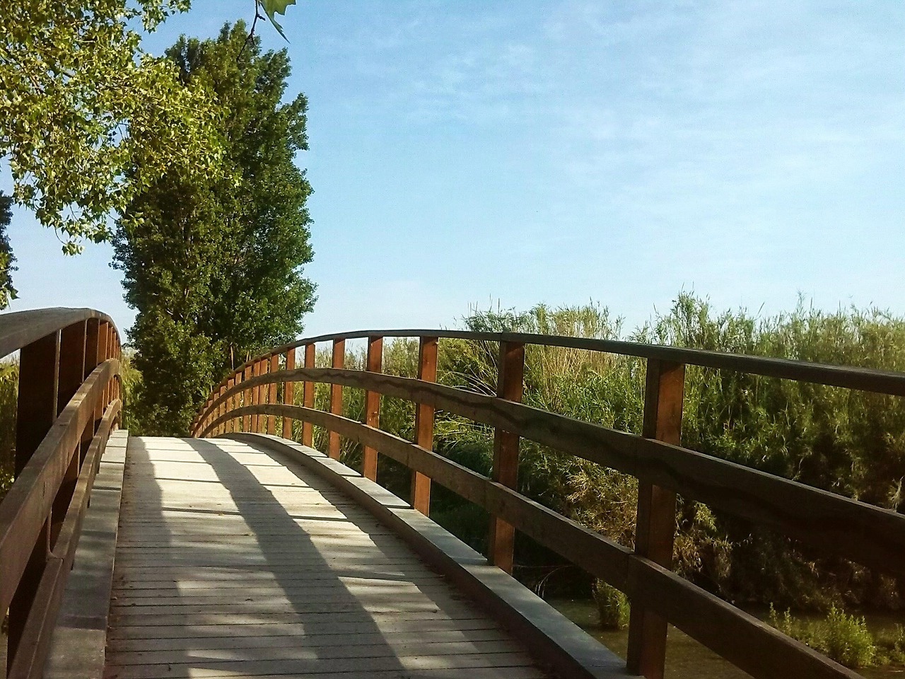 services-04 bridge, tree, path, entrepreneurship, landscape, nature, park, spring, begin, entrepreneurship, entrepreneurship, entrepreneurship, entrepreneurship, entrepreneurship