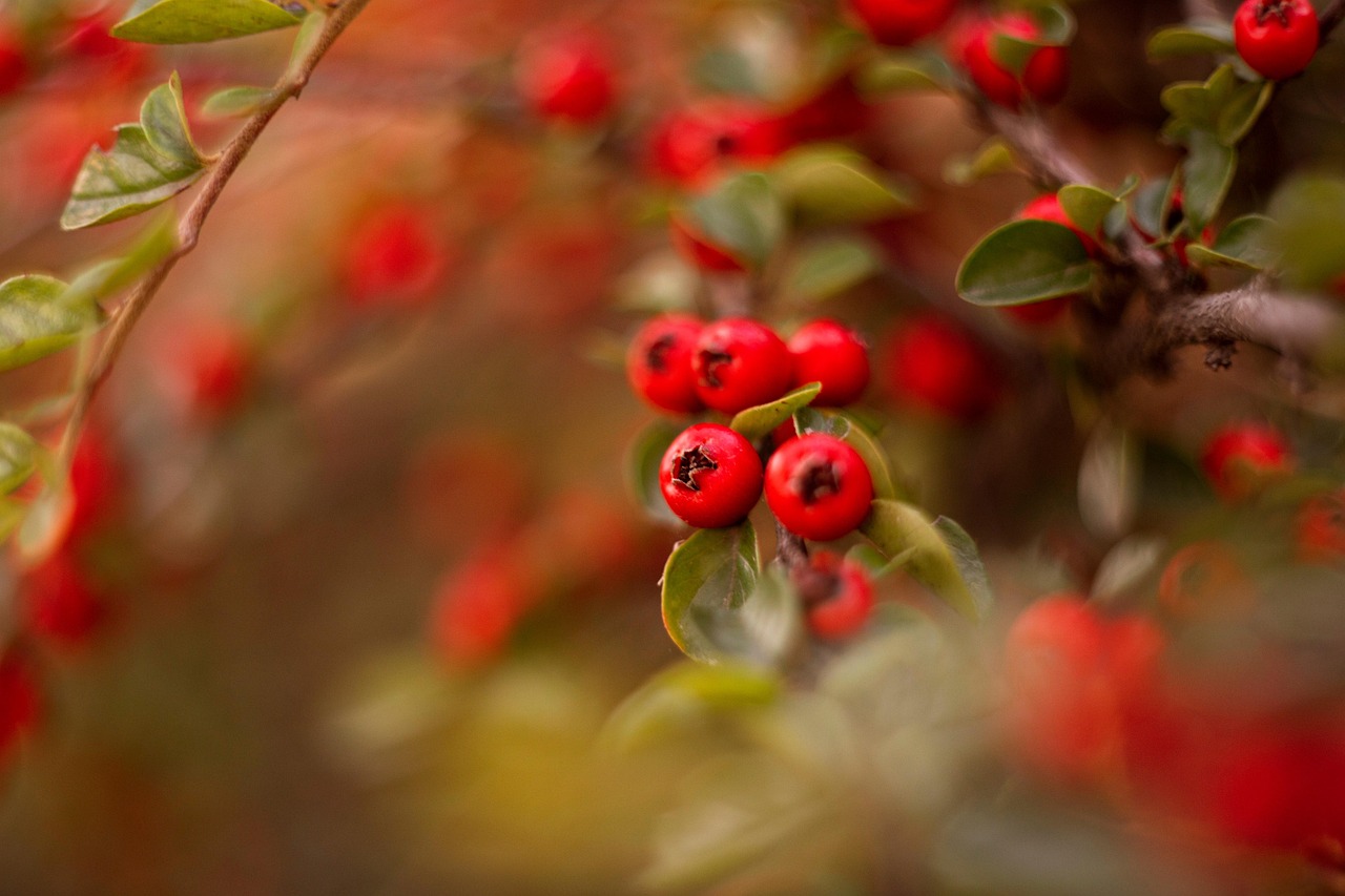 découvrez des stratégies efficaces pour stimuler la croissance de votre entreprise, améliorer vos performances et atteindre vos objectifs professionnels grâce à des conseils pratiques et des ressources innovantes.